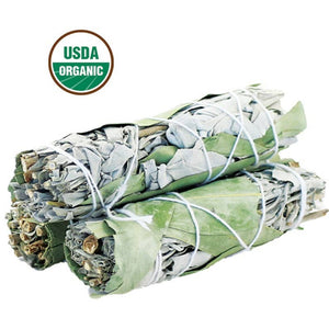 Eucalyptus White Sage Organic Smudge Sticks 4"